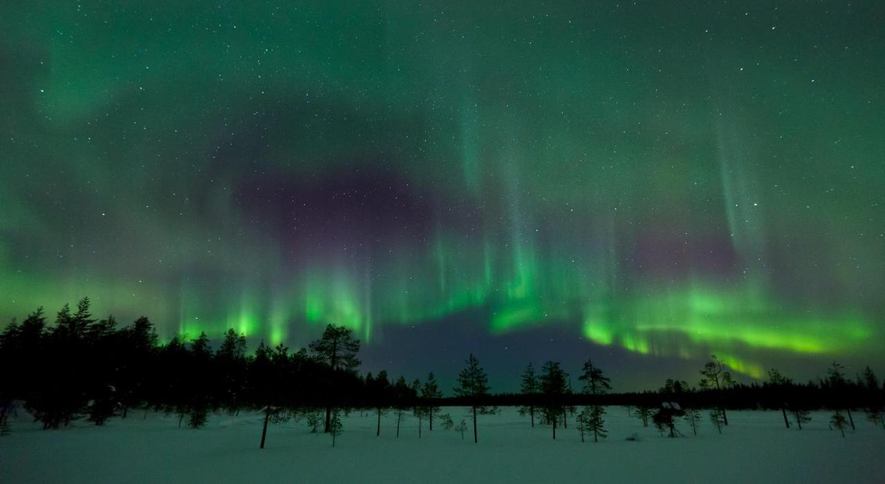 Taljatie Apartments Rovaniemi Zewnętrze zdjęcie